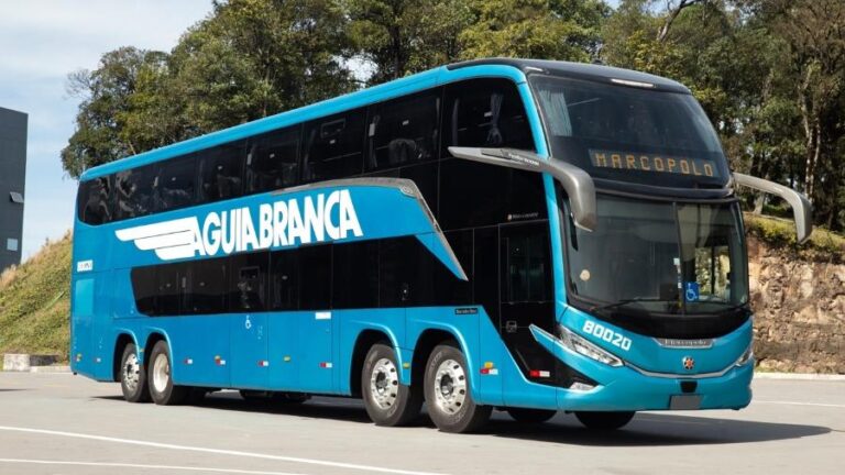 onibus-g8-aguia-branca-1-1699588019747_v2_900x506