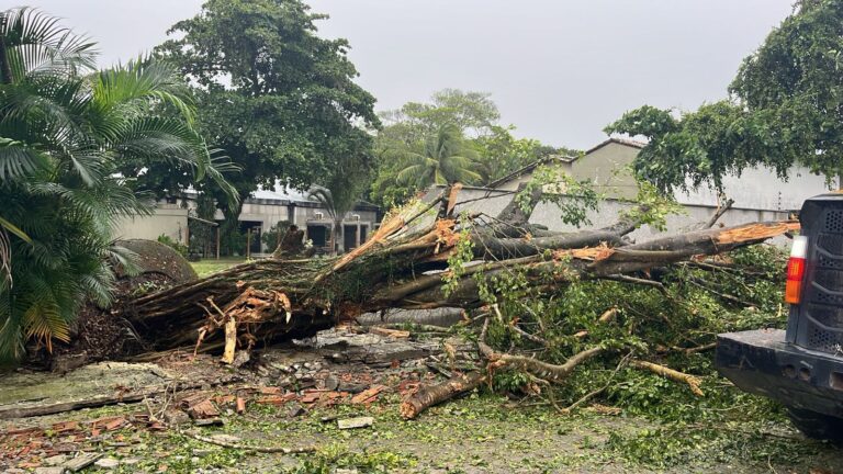 WhatsApp-Image-2025-10-20-at-08.49.39