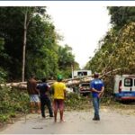 WhatsApp Image 2025-11-27 at 15.25.58