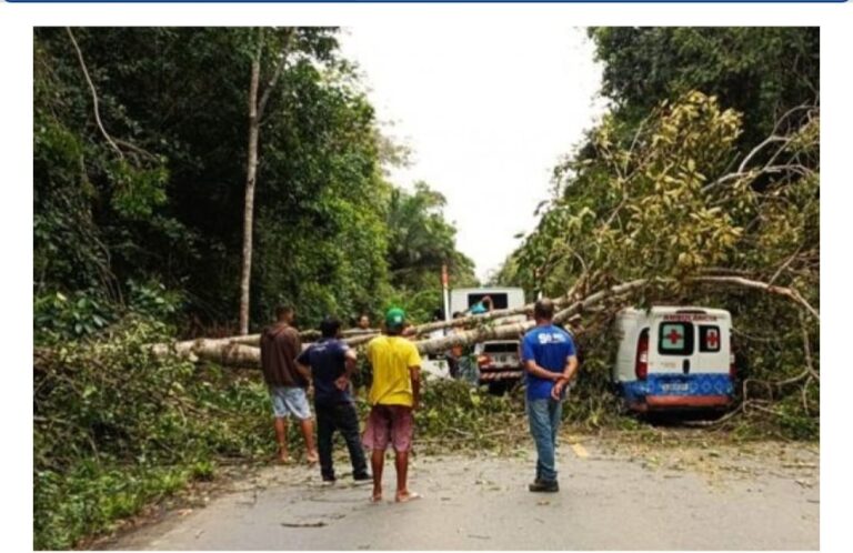 WhatsApp Image 2025-11-27 at 15.25.58