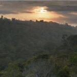 parque-pau-brasil-450x300