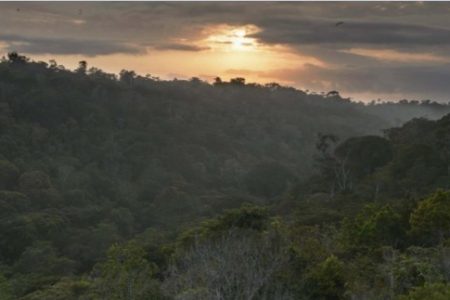 parque-pau-brasil-450x300