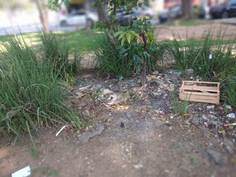 Praca-J-R-Barbosa-entulho-e-mato-1536x1152