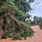 WhatsApp Image 2026-01-29 at 22.12.15