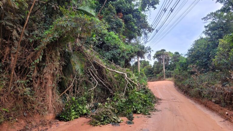 WhatsApp Image 2026-01-29 at 22.12.15