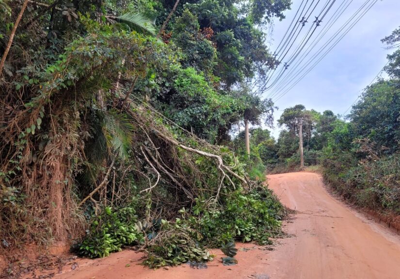 WhatsApp Image 2026-01-29 at 22.12.15