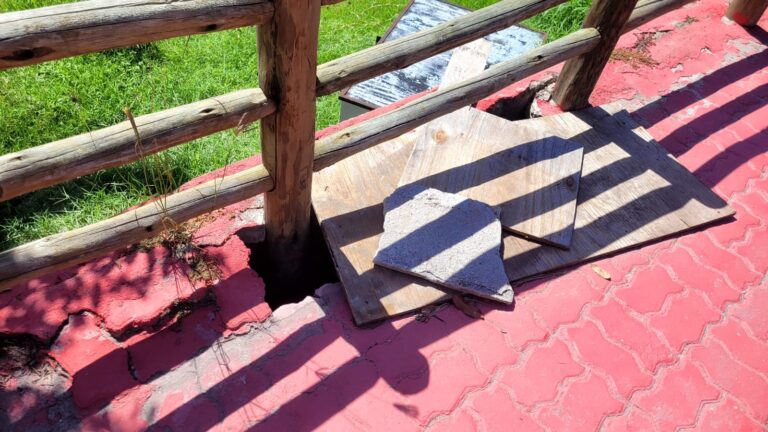 WhatsApp Image 2026-02-02 at 17.37.59 (1)