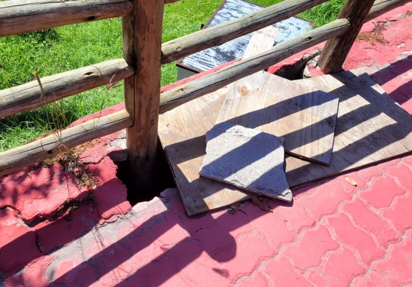 WhatsApp Image 2026-02-02 at 17.37.59 (1)