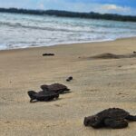 WhatsApp Image 2026-02-20 at 19.19.04