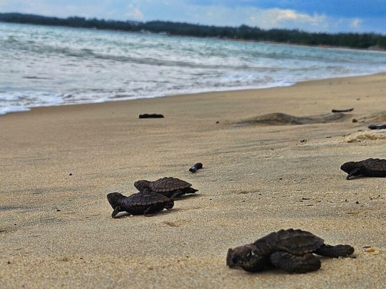 WhatsApp Image 2026-02-20 at 19.19.04