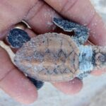 WhatsApp Image 2026-02-24 at 08.13.01