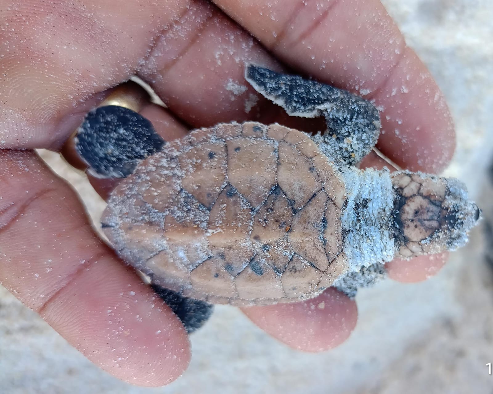 WhatsApp Image 2026-02-24 at 08.13.01