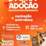 WhatsApp Image 2026-02-24 at 15.09.36 (1)