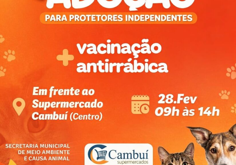 WhatsApp Image 2026-02-24 at 15.09.36