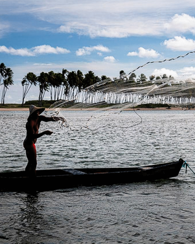projeto-agua-vida-volta-a-bahia-com-acoes-de-reflorestamento-e-educacao-ambiental-com-foco-em-caraiva-corumbau-e-trancoso-1