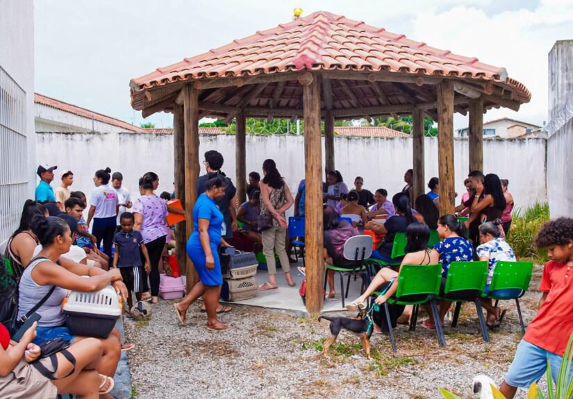 WhatsApp Image 2026-04-08 at 22.47.03