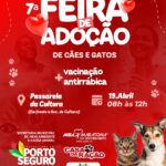 WhatsApp Image 2026-04-14 at 08.36.57