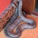 WhatsApp Image 2026-04-14 at 20.22.01 (2)