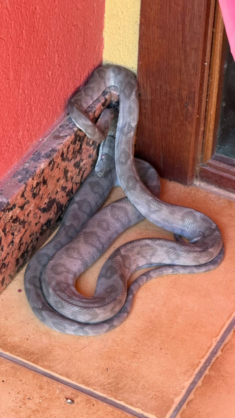 WhatsApp Image 2026-04-14 at 20.22.01 (2)