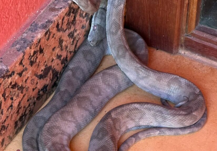 WhatsApp Image 2026-04-14 at 20.22.01 (2)