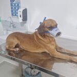 WhatsApp Image 2026-04-23 at 14.35.44 (2)