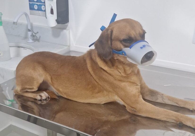 WhatsApp Image 2026-04-23 at 14.35.44 (2)