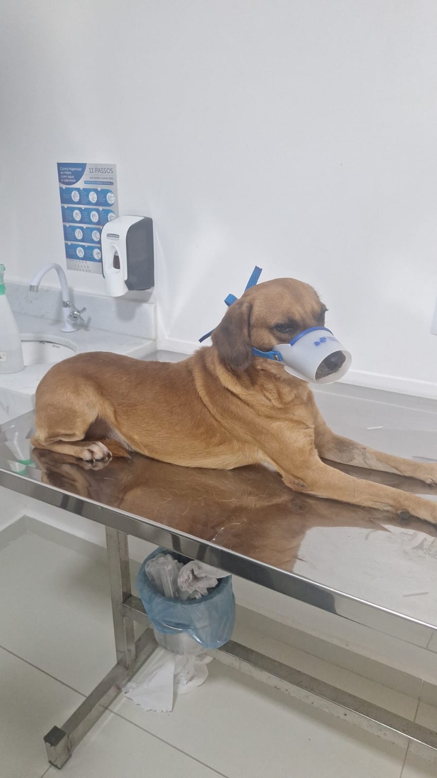 WhatsApp Image 2026-04-23 at 14.35.44 (2)