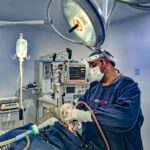 WhatsApp Image 2026-04-27 at 07.36.10