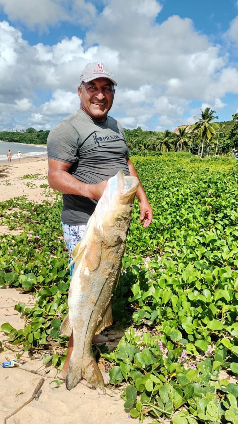 WhatsApp Image 2026-04-29 at 17.24.12