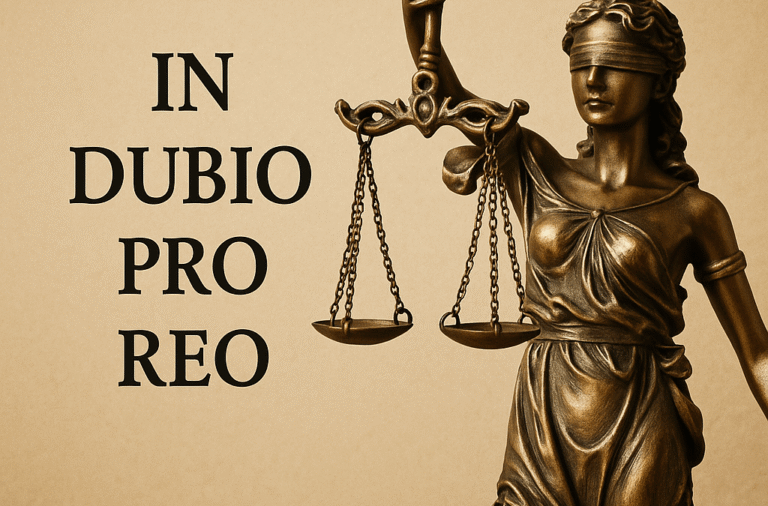 in-dubio-pro-reo-1024x675