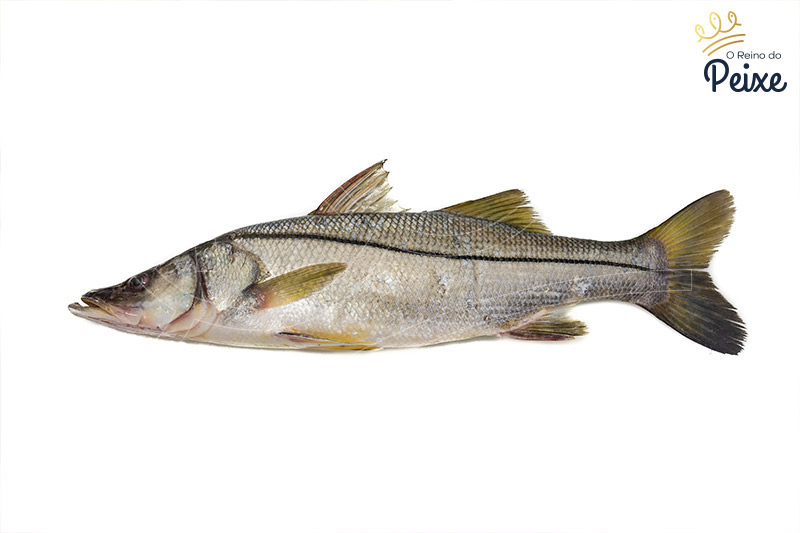 robalo-inteiro